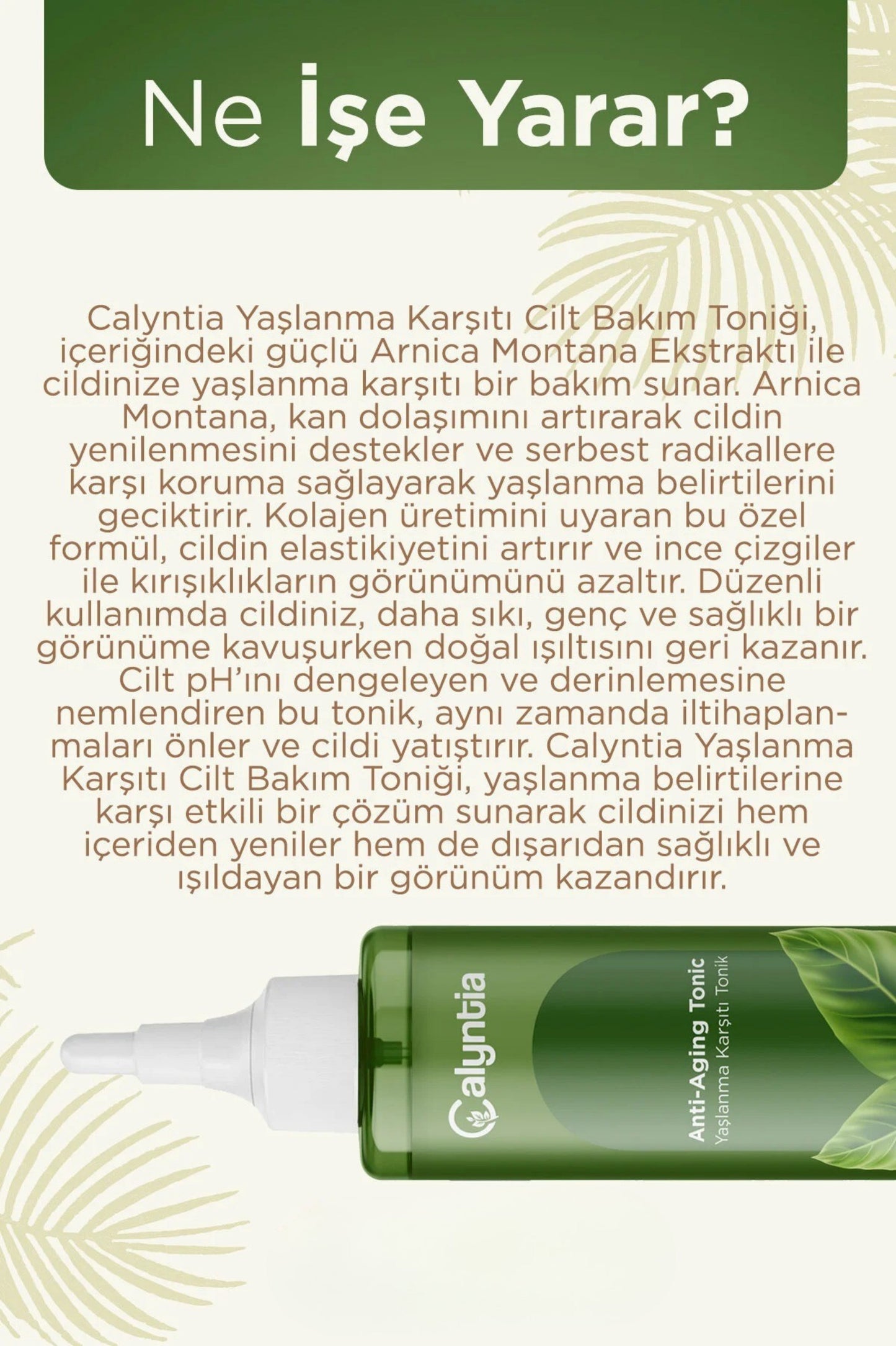 Dermolyntia Yaşlanma Karşıtı Cilt Bakım Toniği